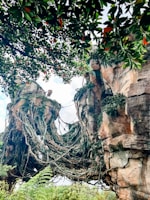 A fantastical landscape featuring towering rock formations intertwined with vines and lush vegetation. Overhead, tree branches with dense green leaves create a canopy. The scene exudes an otherworldly feel, reminiscent of a movie scene.