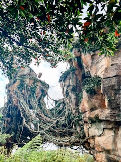 A fantastical landscape featuring towering rock formations intertwined with vines and lush vegetation. Overhead, tree branches with dense green leaves create a canopy. The scene exudes an otherworldly feel, reminiscent of a movie scene.