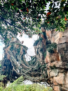 A fantastical landscape featuring towering rock formations intertwined with vines and lush vegetation. Overhead, tree branches with dense green leaves create a canopy. The scene exudes an otherworldly feel, reminiscent of a movie scene.