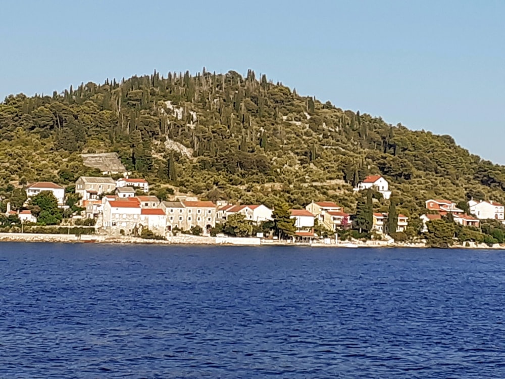 a view of a town on the shore of a lake