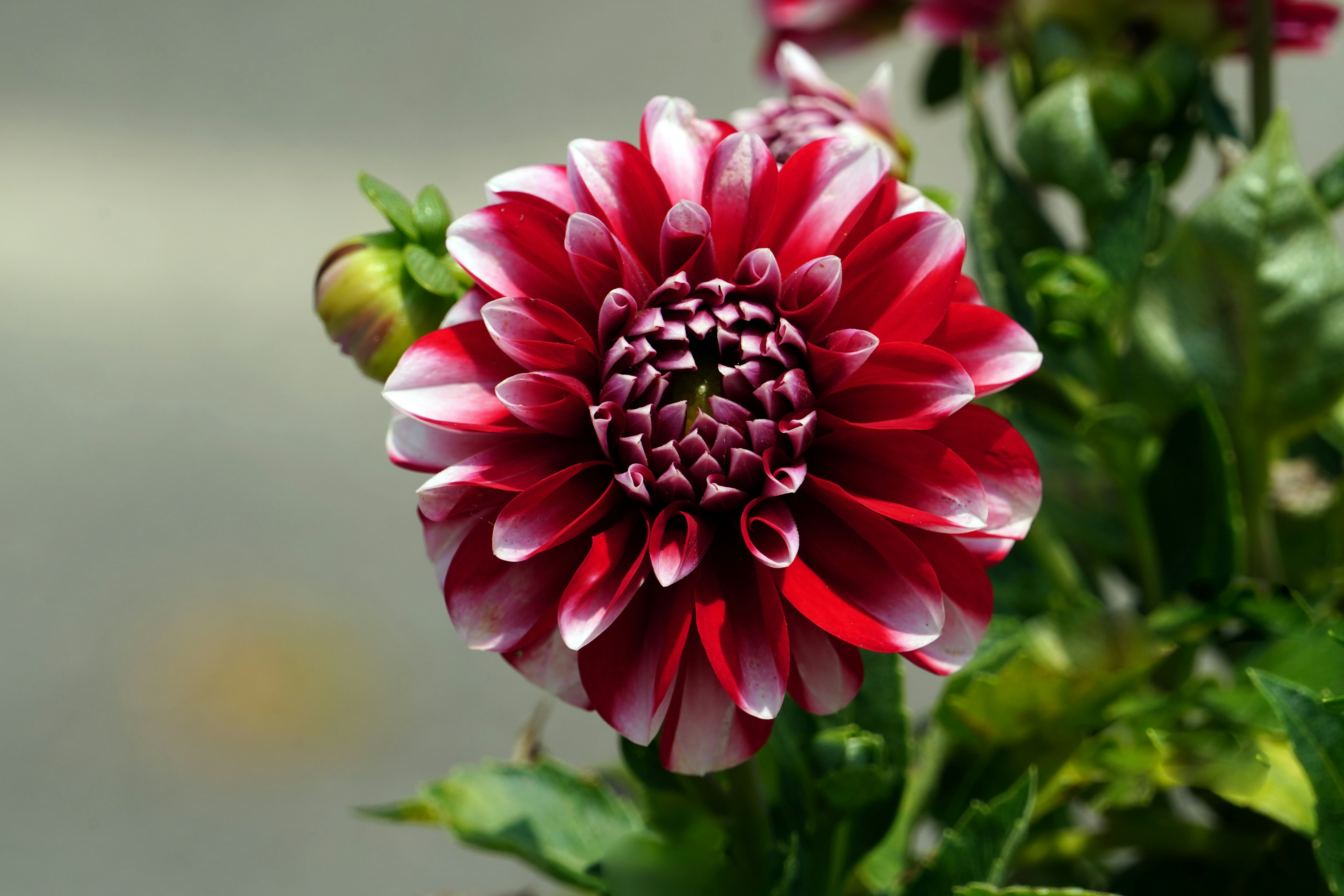 Photo by kim_dae_jeung