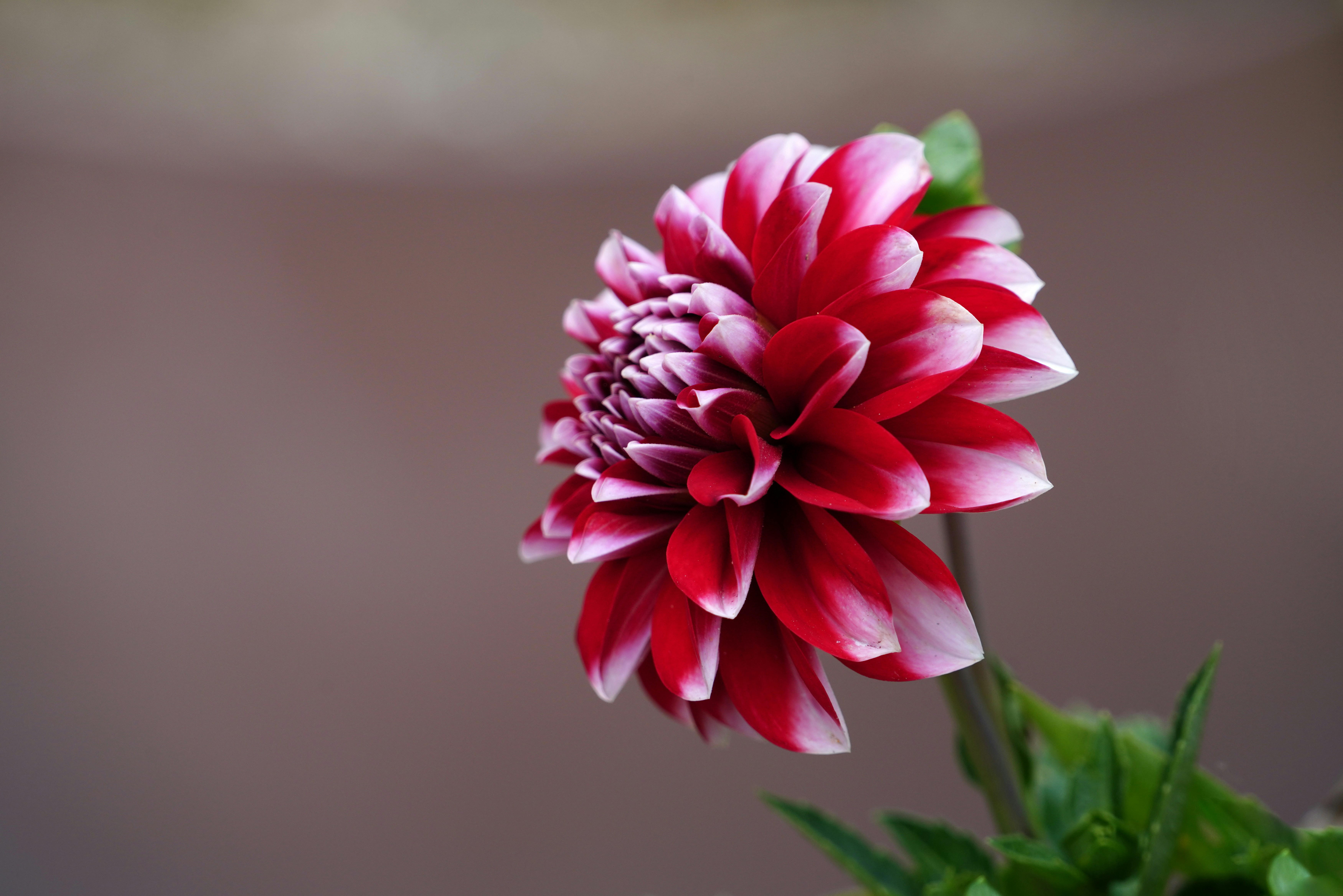 Photo by kim_dae_jeung