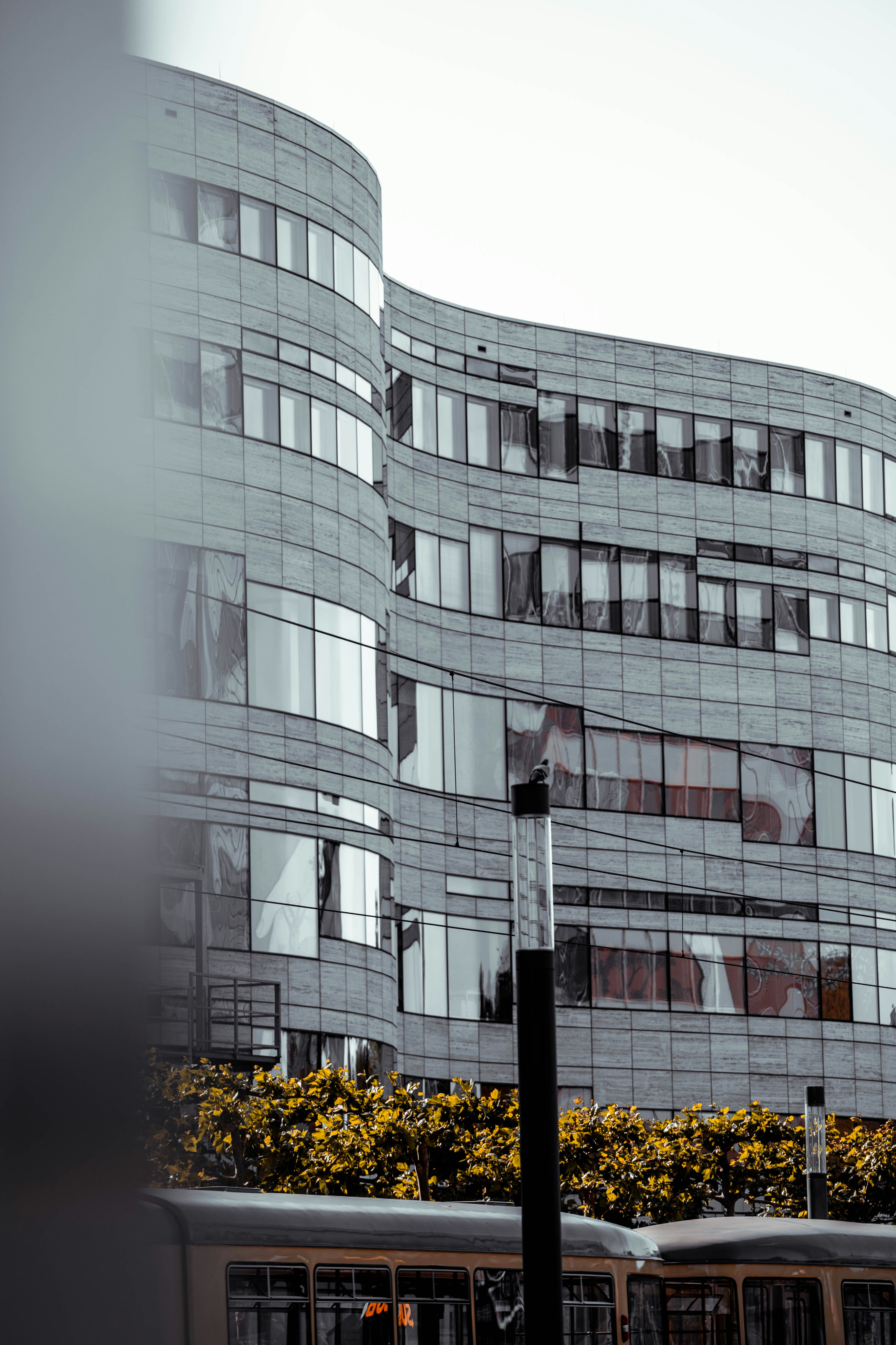 Photo by konstantin_rmy