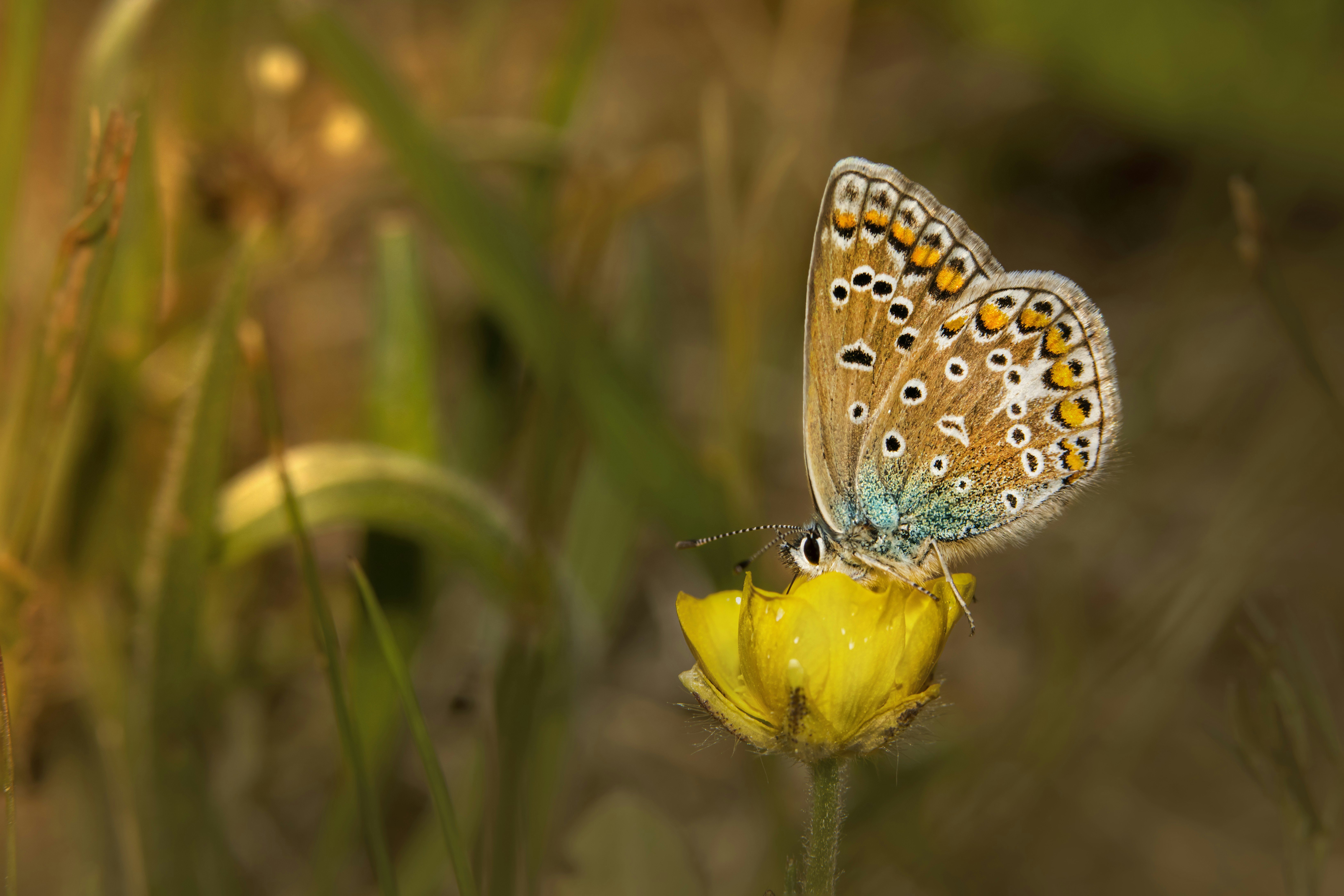 Photo by erik_karits