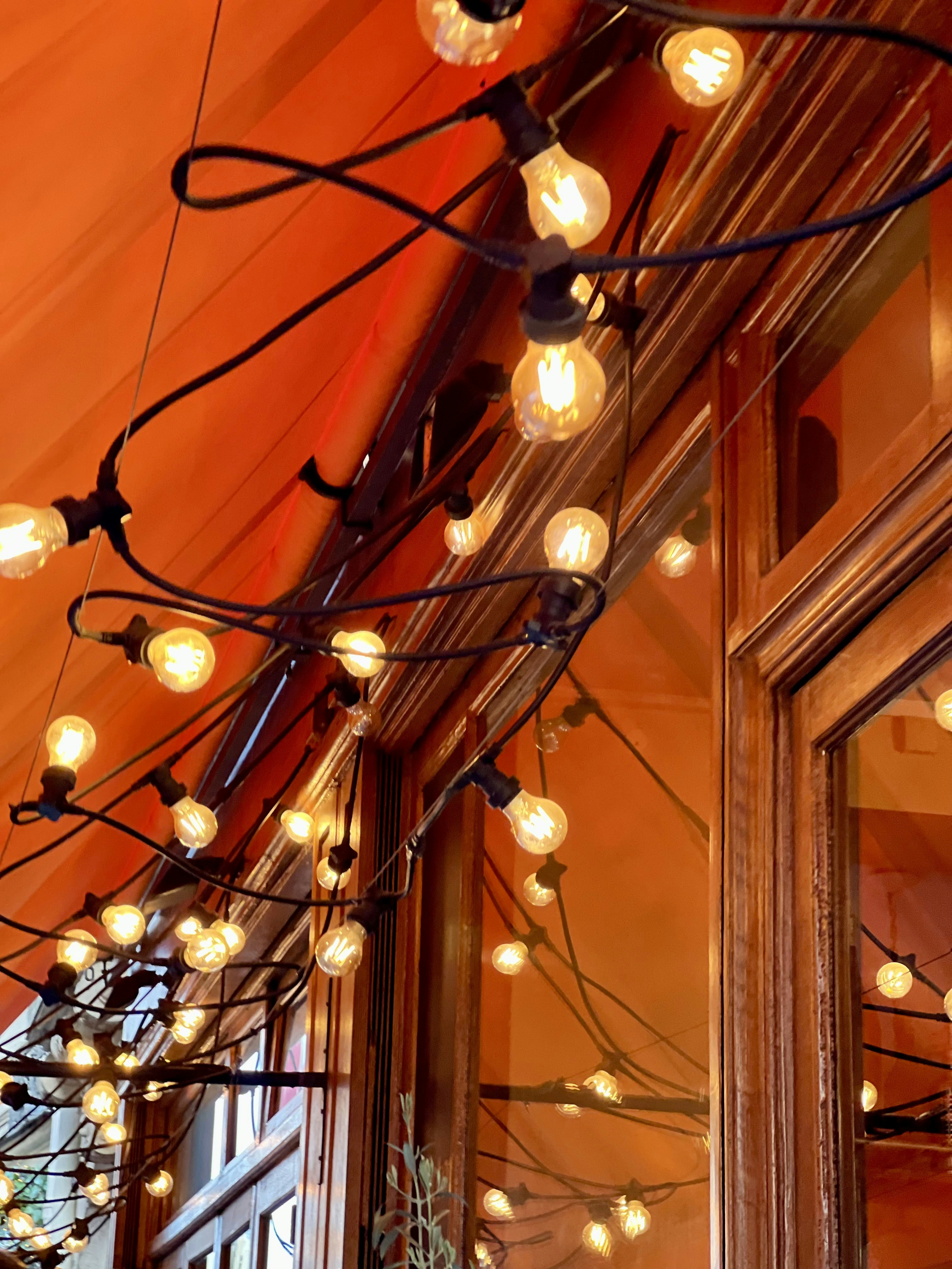 Festive String Lights