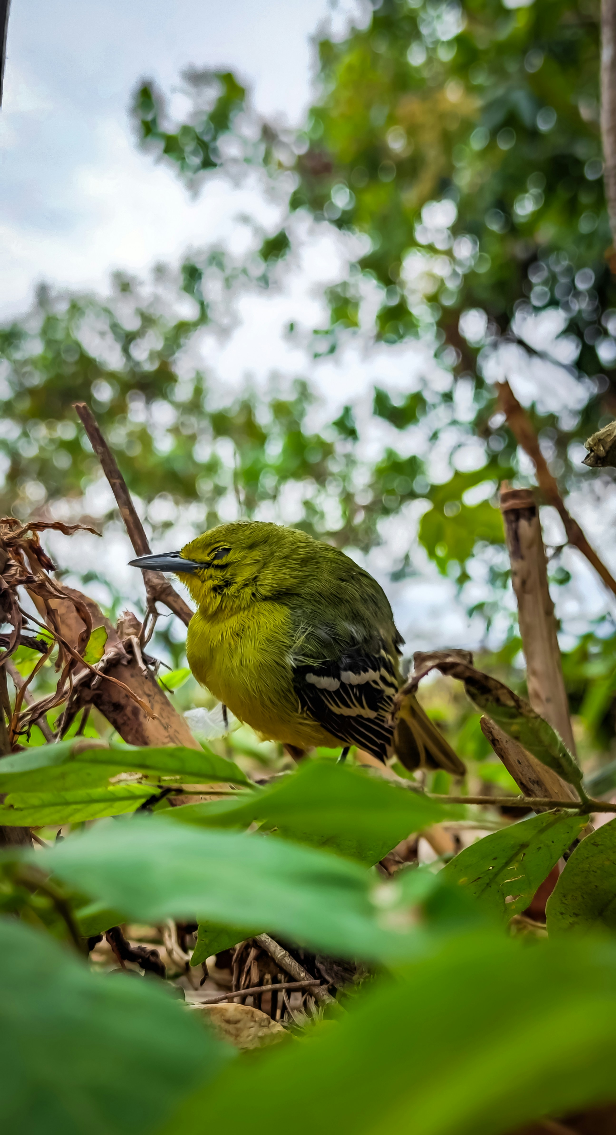 Photo by chuchu123456