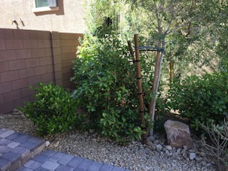 A small garden area with a tree supported by wooden stakes and a variety of lush green plants. The background consists of a brick wall, and the ground is covered with decorative rocks. A stone is placed among the plants, and there are pavers leading up to the garden.