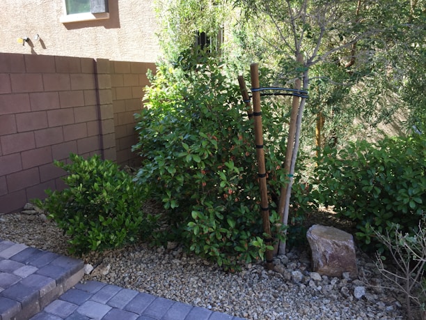 A small garden area with a tree supported by wooden stakes and a variety of lush green plants. The background consists of a brick wall, and the ground is covered with decorative rocks. A stone is placed among the plants, and there are pavers leading up to the garden.