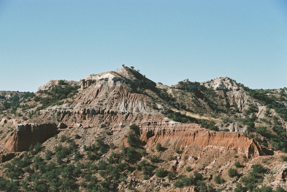 una vista de una montaña con árboles en el lado de ella