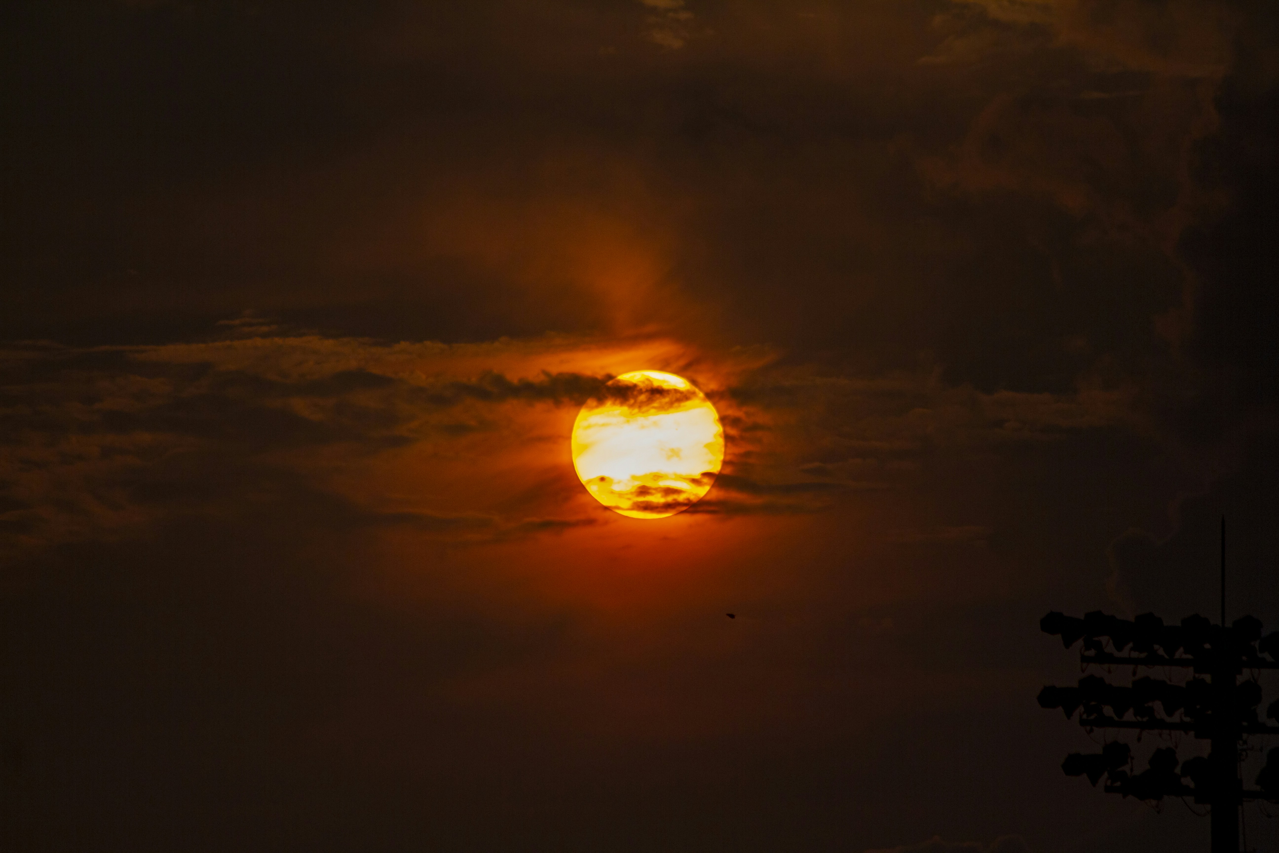 Photo by kevinwang413156