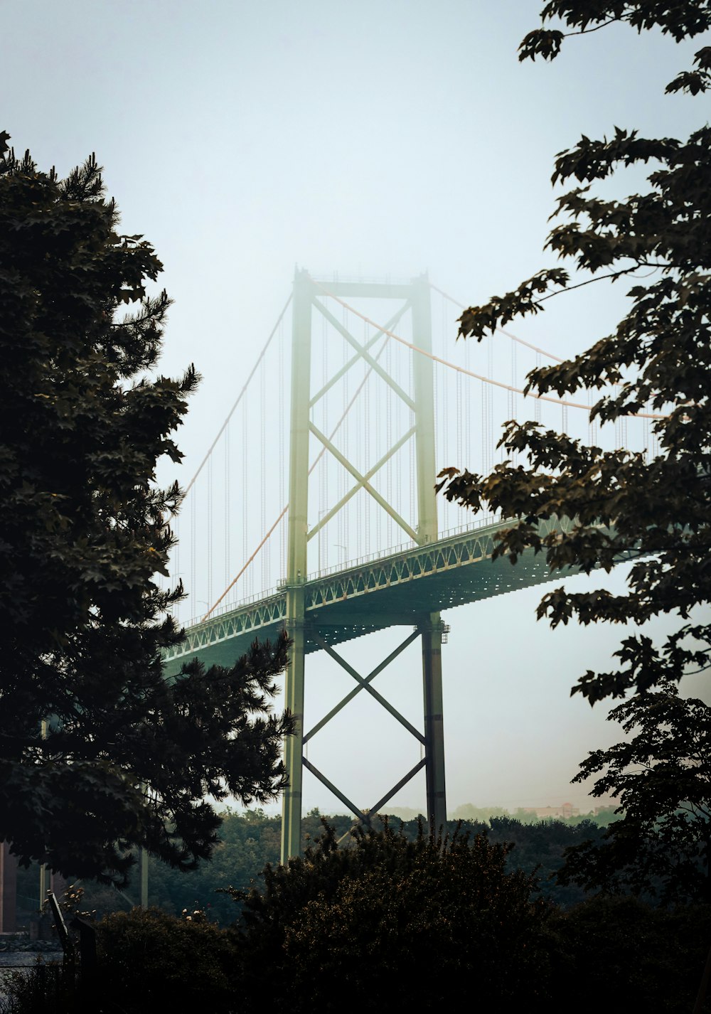 a large bridge over a body of water surrounded by trees