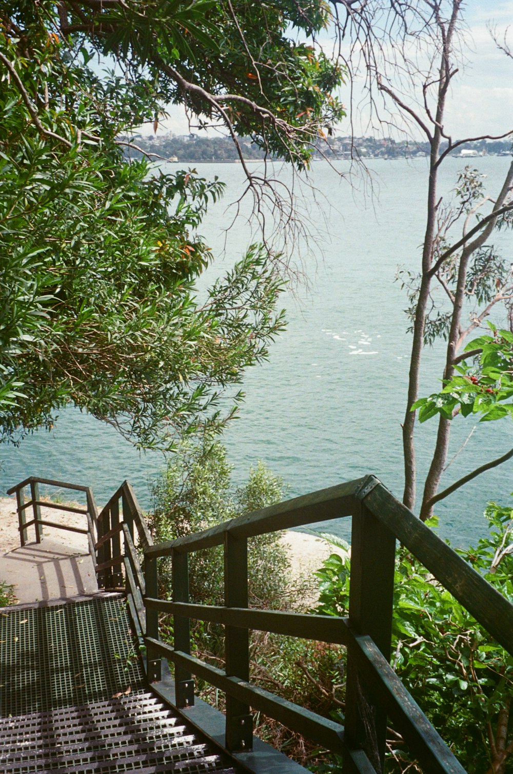 a set of stairs leading down to the water