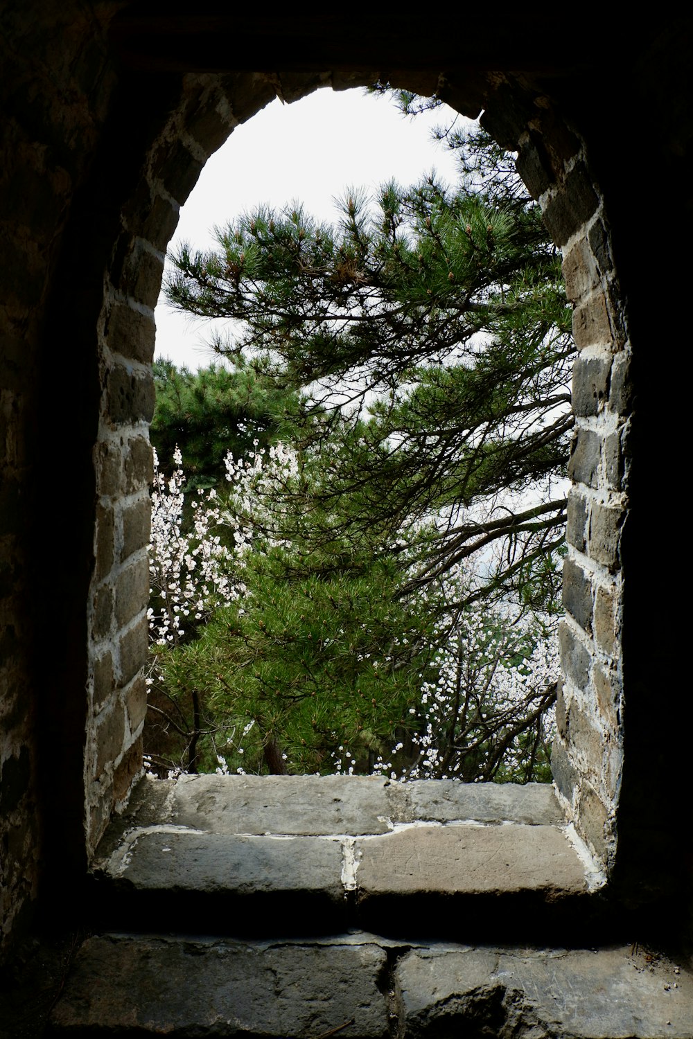a window in a stone wall with trees in the background