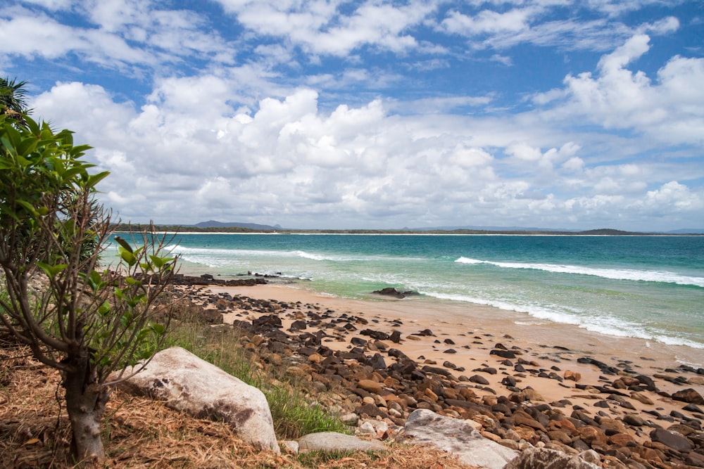 a rocky beach with a body of water in the background