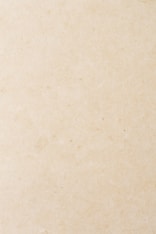 a small bird sitting on top of a piece of paper