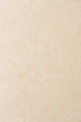 a small bird sitting on top of a piece of paper
