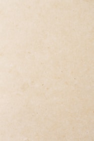a small bird sitting on top of a piece of paper