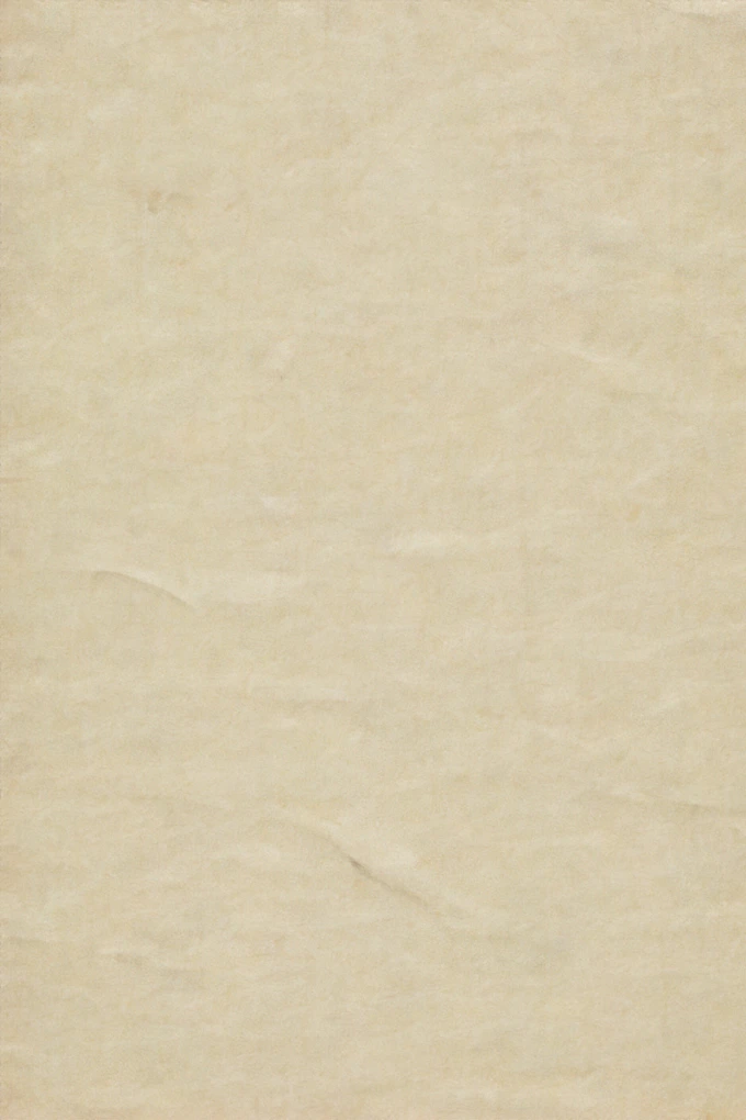 blank beige textured parchment paper