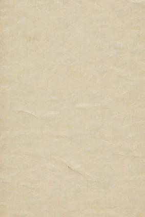blank beige textured parchment paper