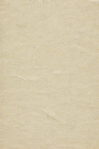 blank beige textured parchment paper