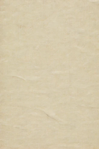 blank beige textured parchment paper