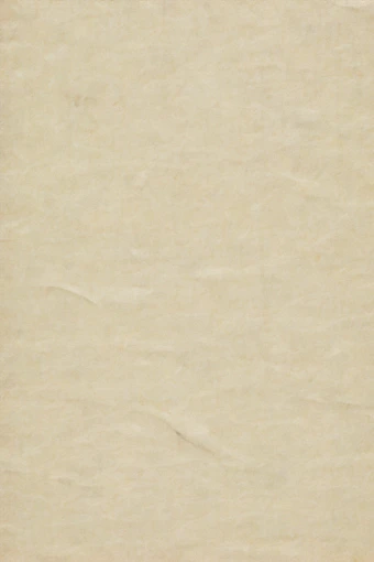 blank beige textured parchment paper