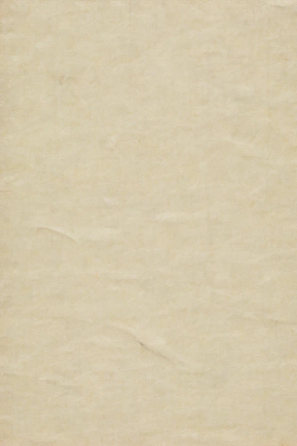 blank beige textured parchment paper
