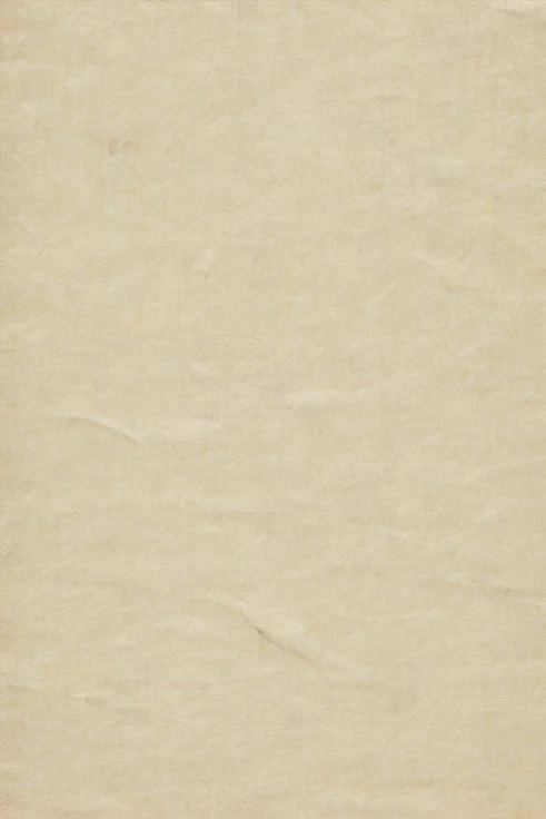 blank beige textured parchment paper
