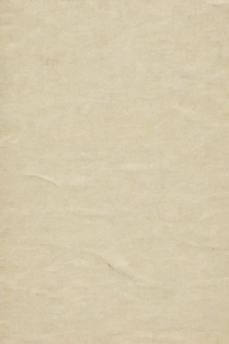 blank beige textured parchment paper