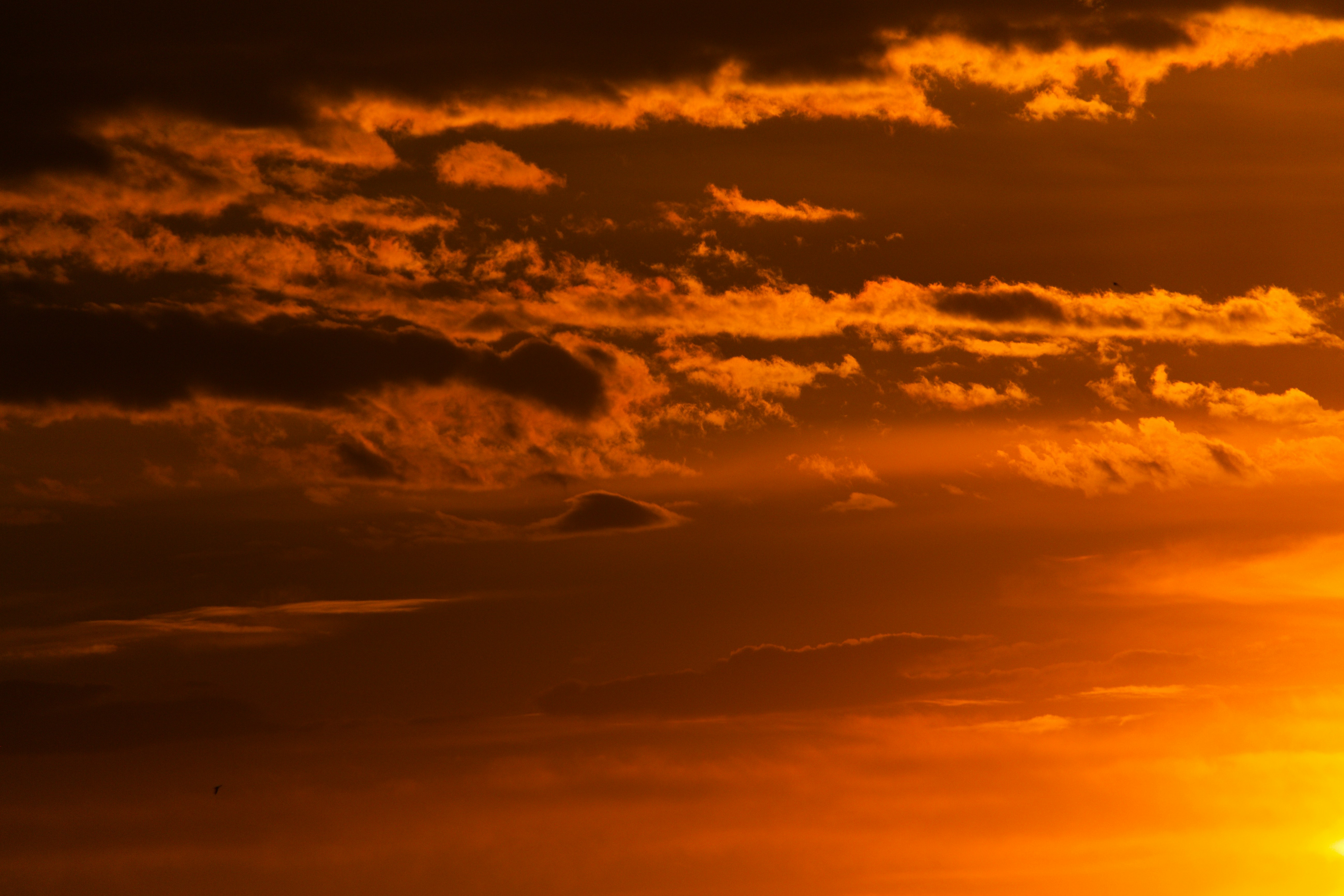 Photo by klarin_steffens