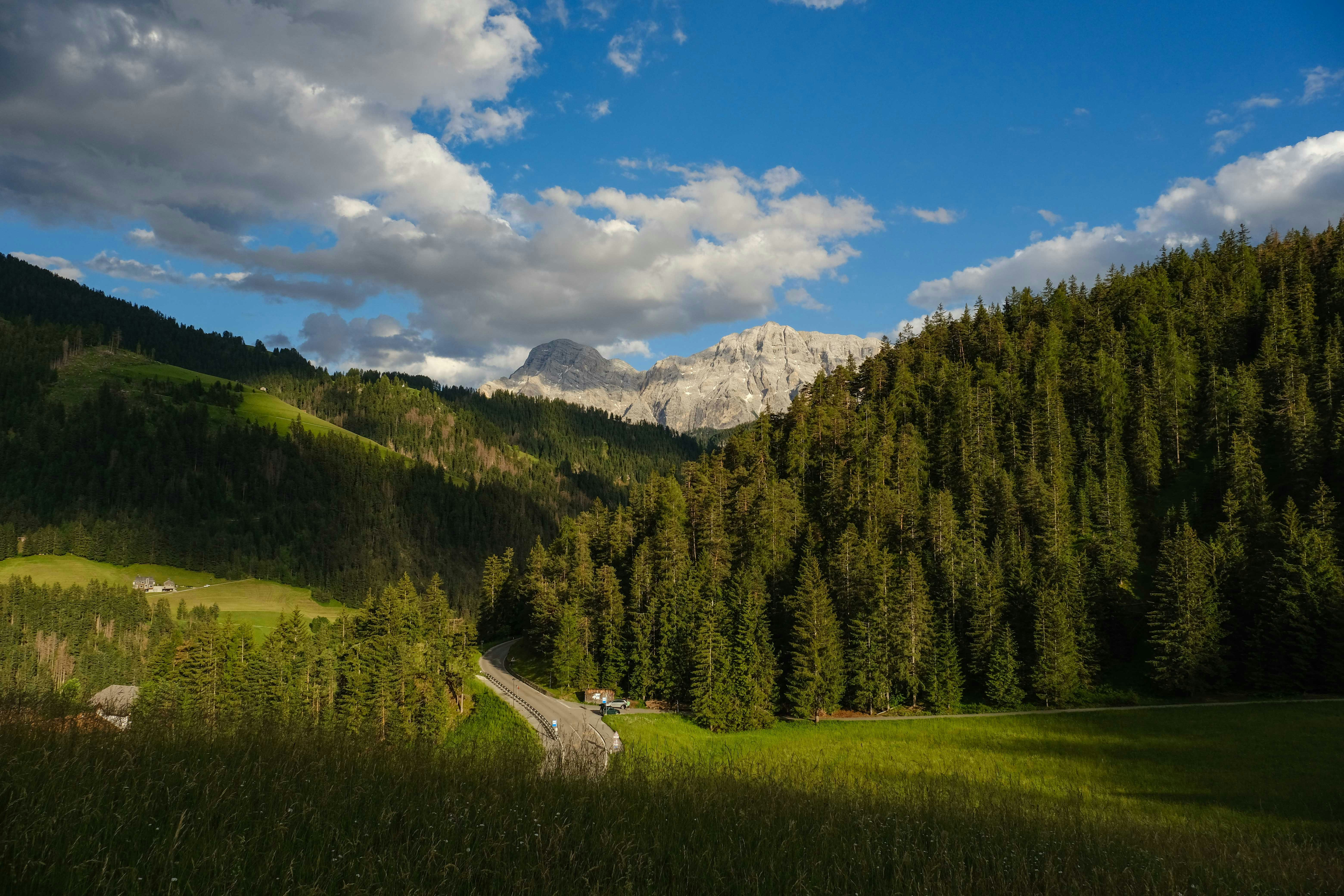 Photo by francesco_ungaro