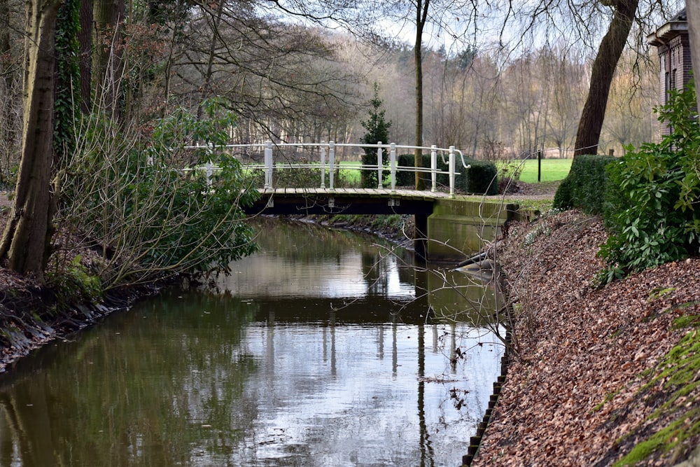 a small bridge over a small river in a park