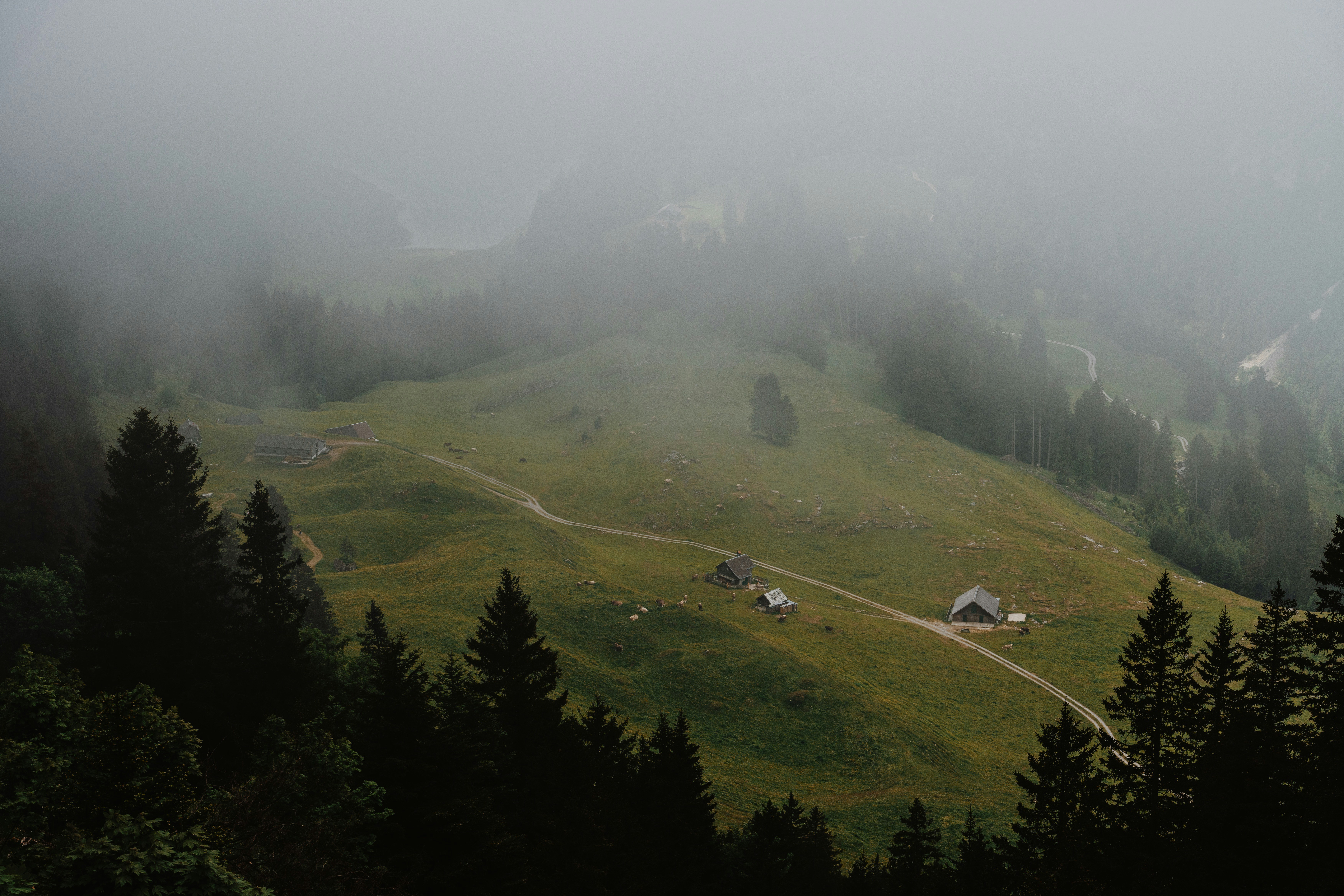 Photo by idbronskiy