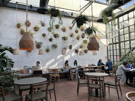 A cozy cannabis café with warm lighting and plants around.