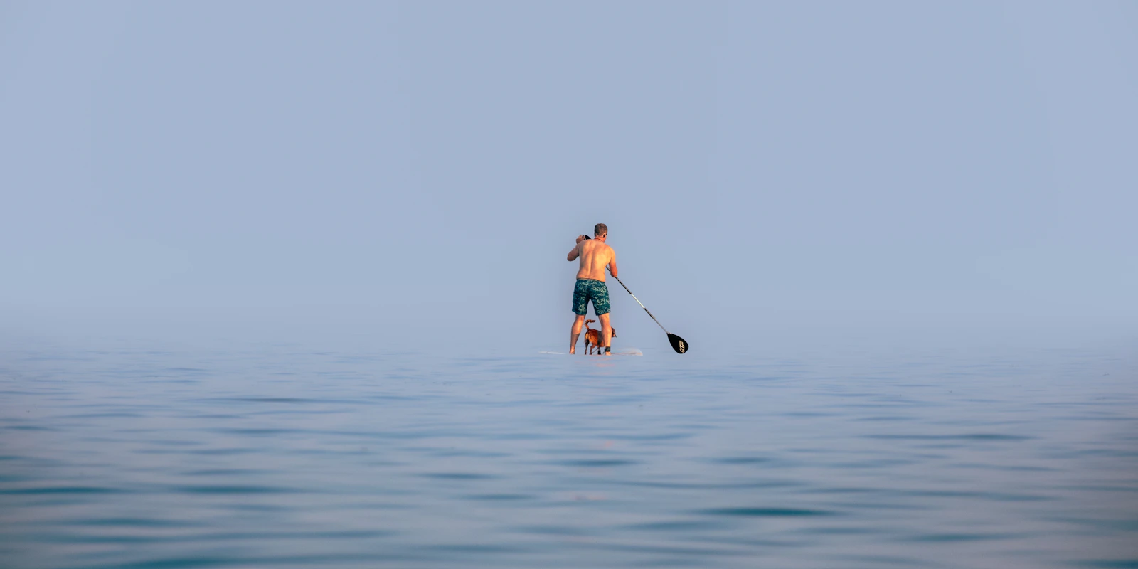 Paddleboarder enjoying calm open water with a dog
