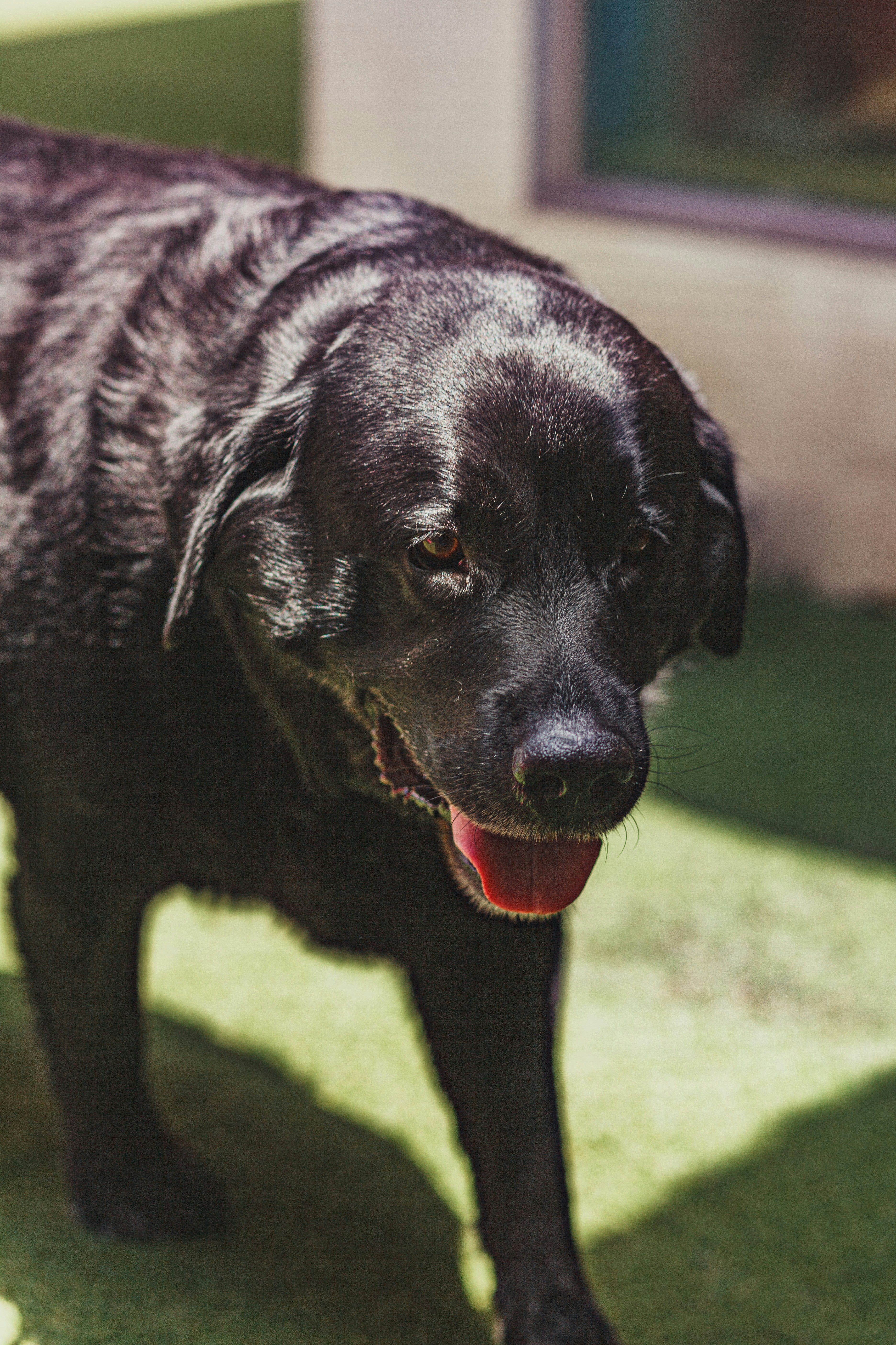 Photo by pimsthegoodshoot