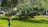 A garden sprinkler is actively watering a green grassy area with trees and bushes in the background. The sprinkler is elevated on a blue and black stand, and water is visibly spraying out in a fine stream.