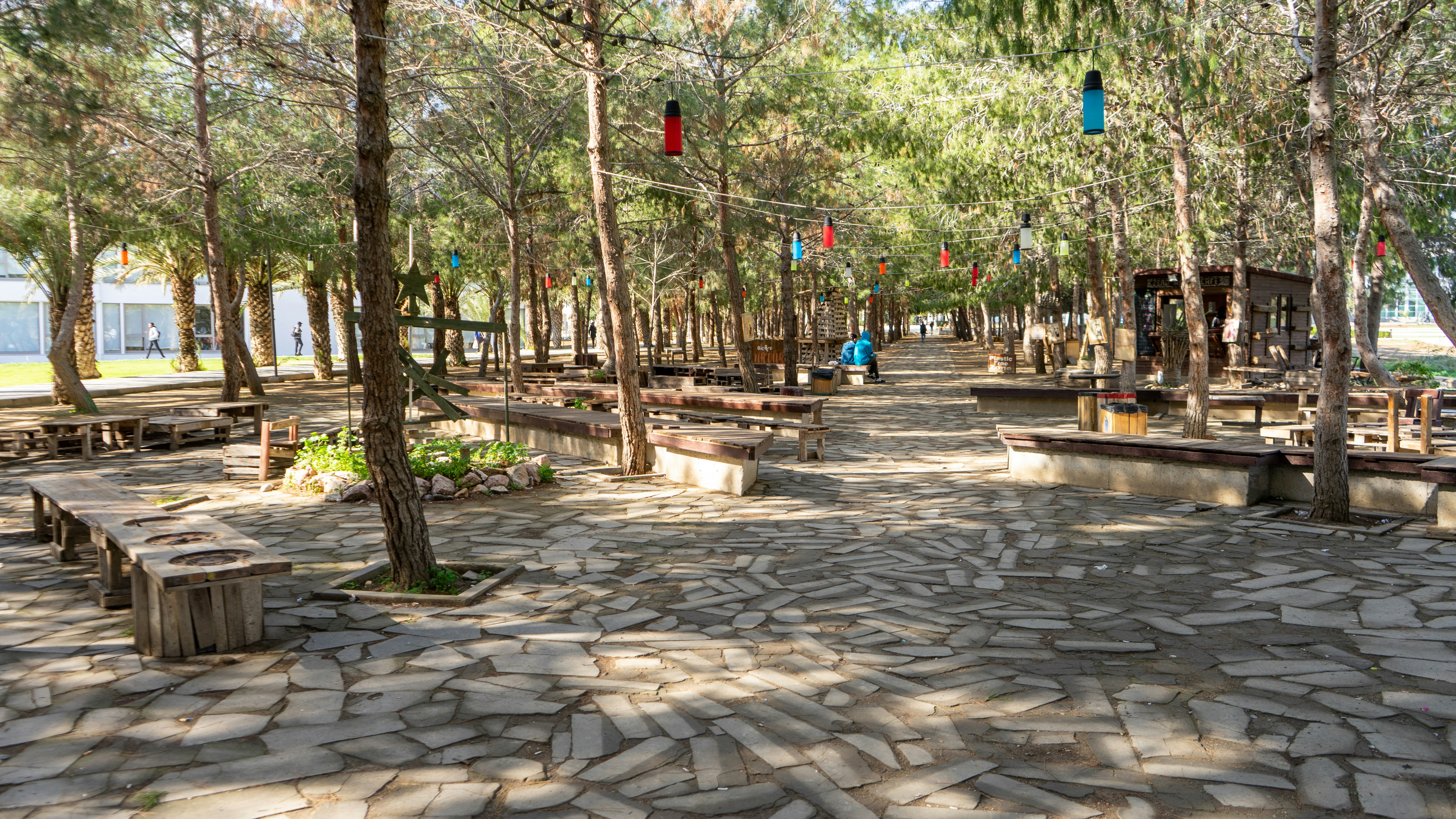 a park with benches and trees on a sunny day