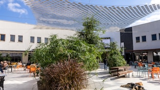 Outdoor patio designed with pet-safe plants and a shaded dog lounge area.