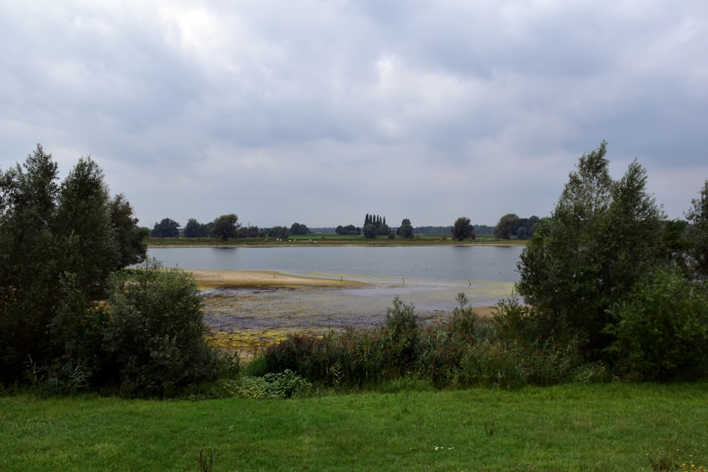 a body of water surrounded by trees and grass