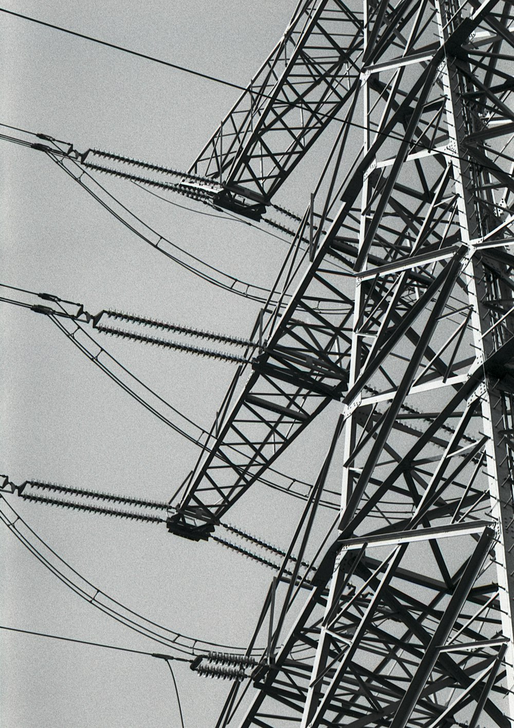 Una foto en blanco y negro de las líneas eléctricas
