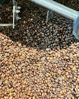 Close-up of robotic arms sorting green coffee beans with high accuracy.