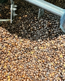 A close-up view of a large pile of roasted coffee beans with varying shades of brown. The beans are being agitated by metallic machinery, suggesting a coffee roasting or processing setting.