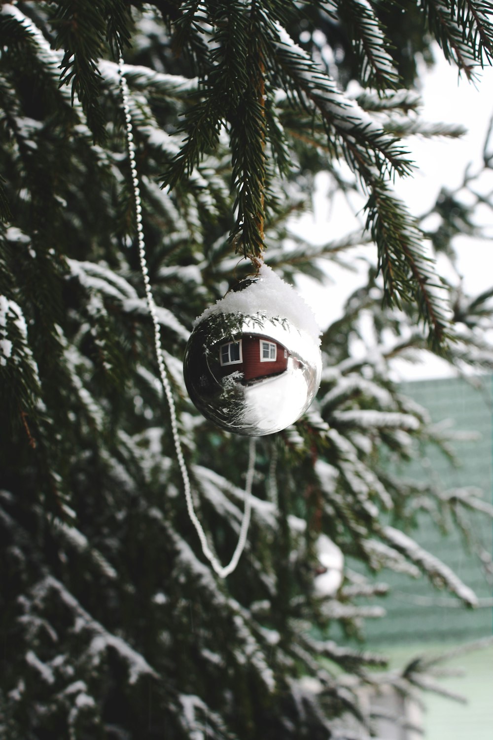 a christmas ornament hanging from a pine tree