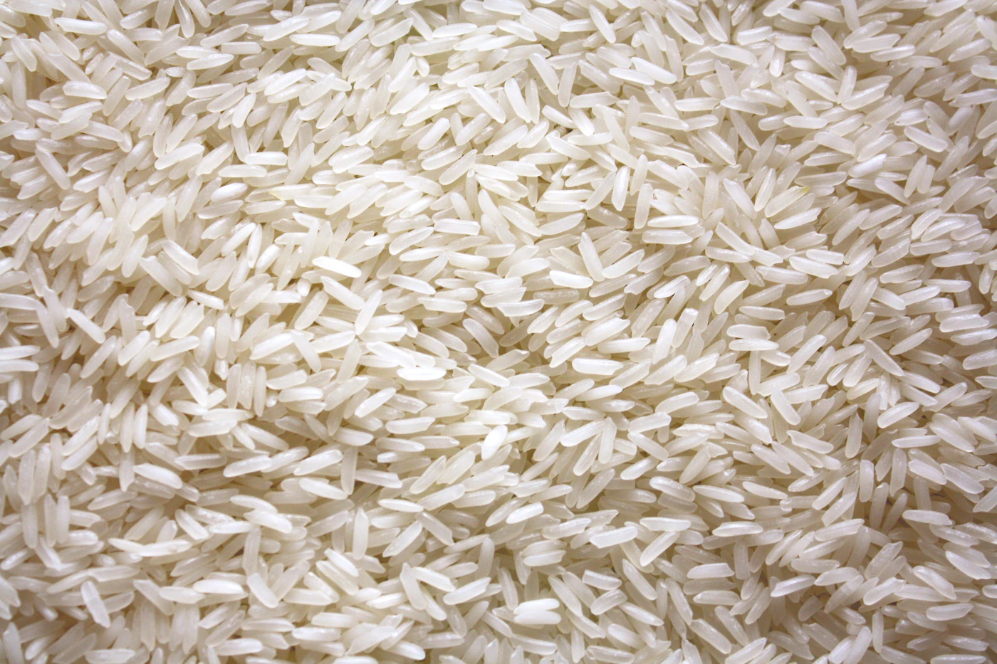 Non-Basmati rice grains