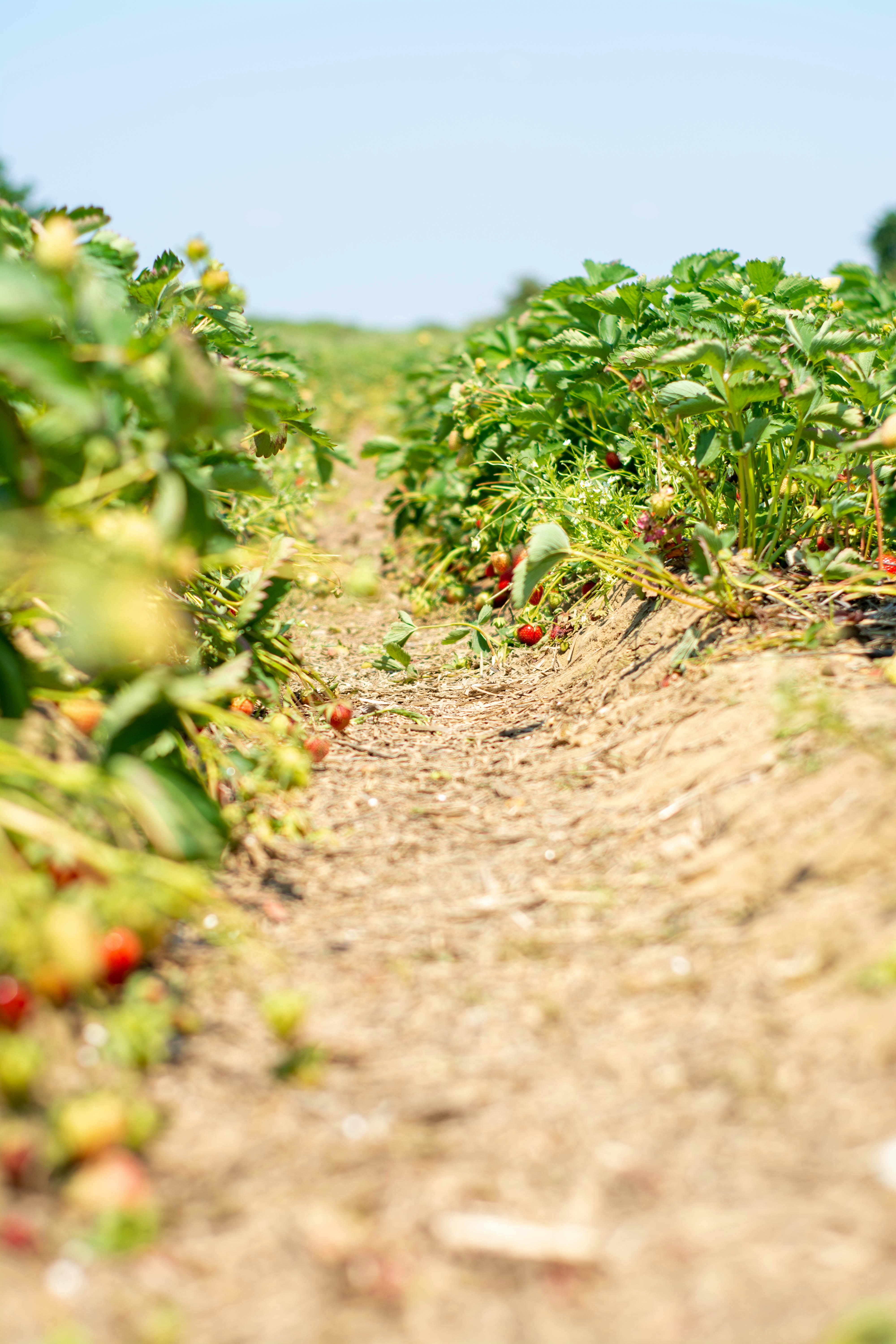 Photo by giuliaphotography