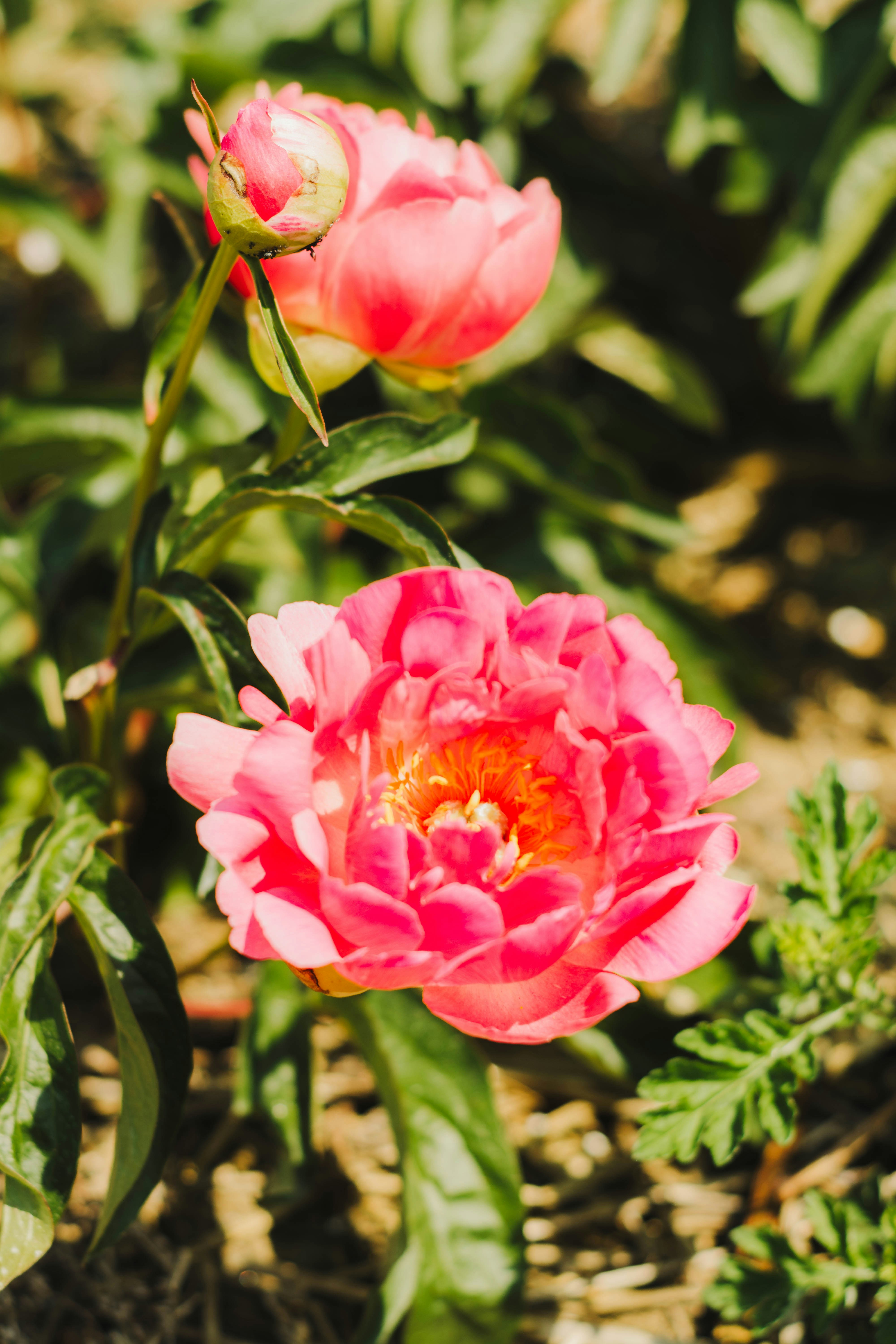 Photo by giuliaphotography