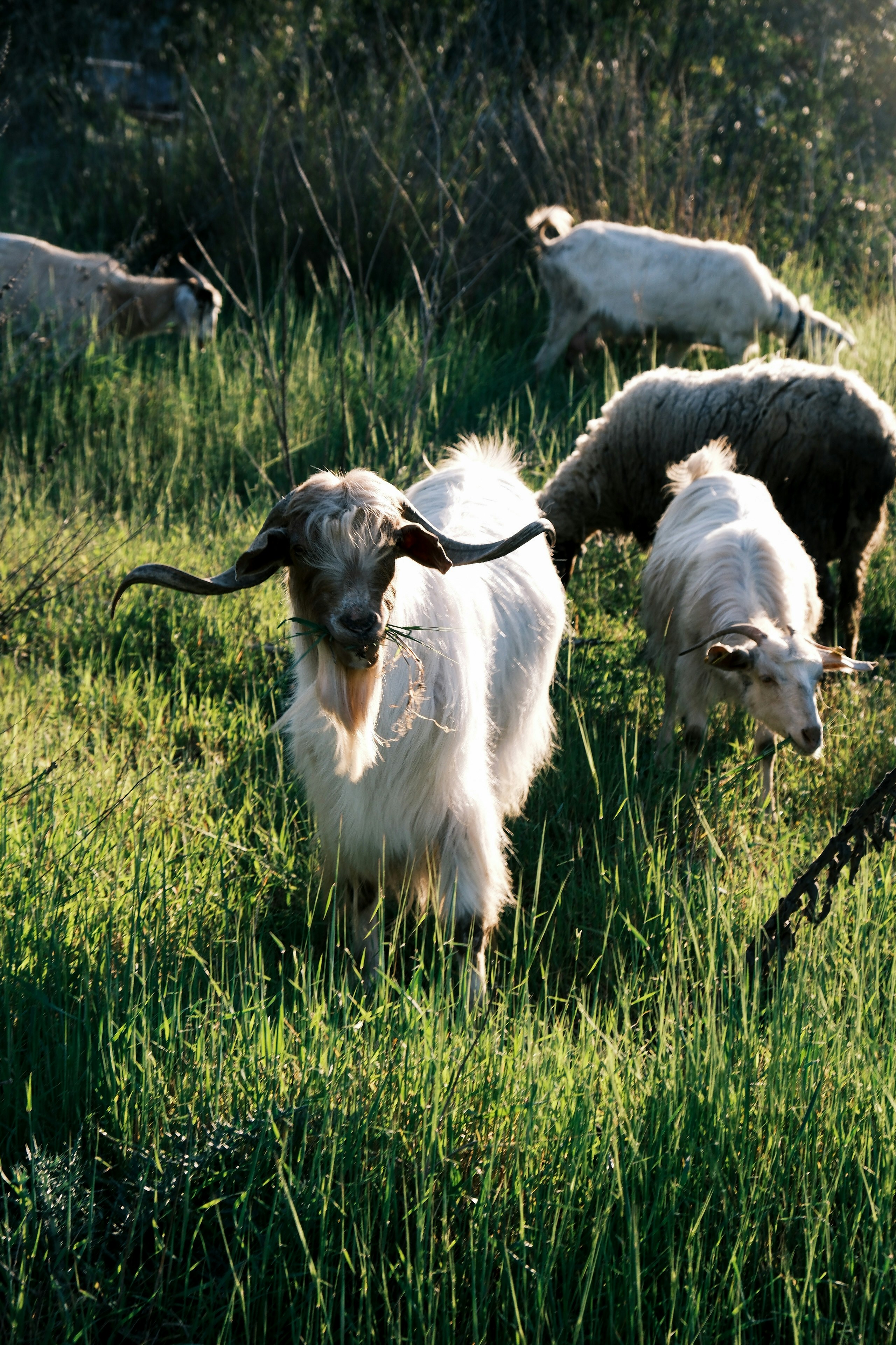 Photo by fezzyshoots