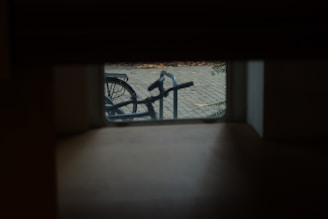 A bicycle is partially visible through a small window, with its handlebars and part of the front wheel in focus. The background includes a paved sidewalk with fallen leaves and a bike rack. The area inside the building appears dimly lit.