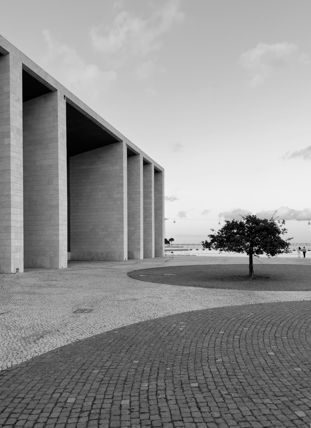 Una foto in bianco e nero di un albero di fronte a un edificio
